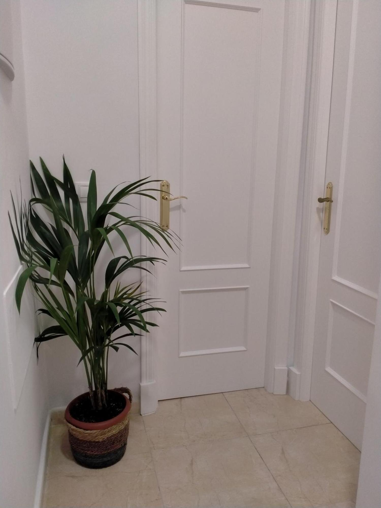 Apartamento Las Tres Lunas Санлукар-де-Баррамеда Екстер'єр фото